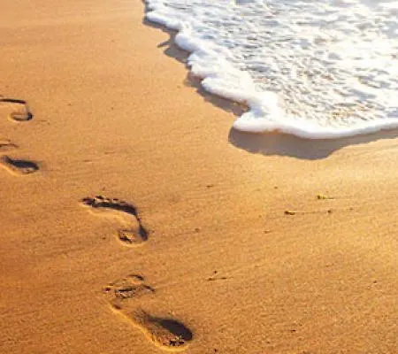 Appartamento La Gaviota